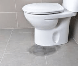 Toilet Repairs Plumber Marrickville